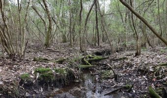 TBD Hwy. 29, Brooklyn, MS 39425