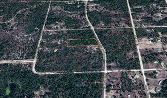 11730 NE 101ST Ter, Archer, FL 32618