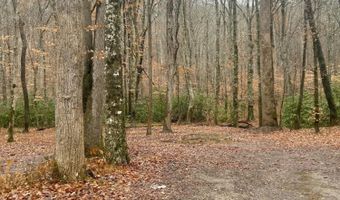 Brair Fork Road, Bean Station, TN 37708