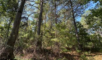 3 Highway 790, Ackerman, MS 38963