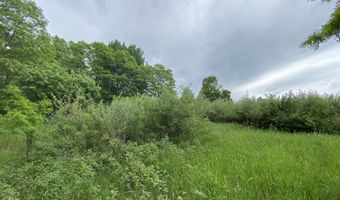 Parcel A Cemetery Road, Alden, MI 49612