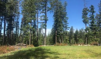 41 Quiet Rd, Athol, ID 83801