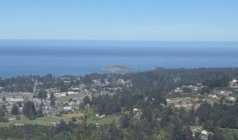 Jodel CT 3, Brookings, OR 97415