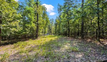 217 Toole Plantation Rd, Beech Island, SC 29842
