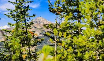 40 Swift Bear, Big Sky, MT 59716