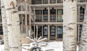 100 E DEAN St 1D, Aspen, CO 81611