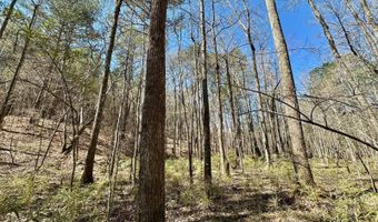 3 County Road 5112, Ethel, MS 38829