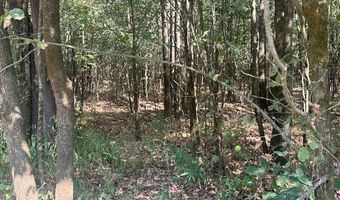 TOW BOAT Ln, Adamsville, TN 38310