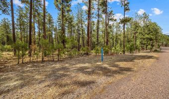 Tbd CR2325, Alpine, AZ 85920