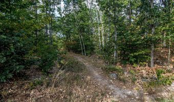 17 The Meadows Rd, Bartlett, NH 03838