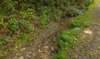 997 Miller Hollow Rd, Bean Station, TN 37708