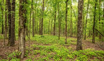 Franklin Dr, Batesville, MS 38606