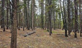 700 Looney Ln Lot 0, Alma, CO 80420