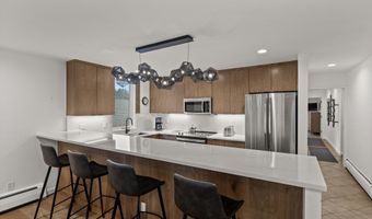 926 Waters Ave 301, Aspen, CO 81611