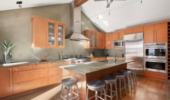 602 W Hallam St, Aspen, CO 81611