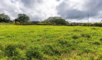 CHIN CHUCK RD, Hakalau, HI 96710