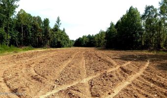 590 County Road 247, Bruce, MS 38915