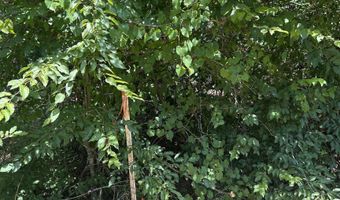 3306 Black Hill Rd, Bee Branch, AR 72013