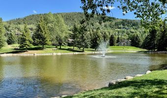 1159 Eagle Dr, Avon, CO 81620