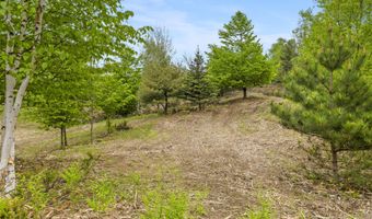 15380 Lake Bluff Dr, Arcadia, MI 49613