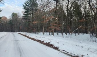 L59 Badger Court lot 59, Arkdale, WI 54613