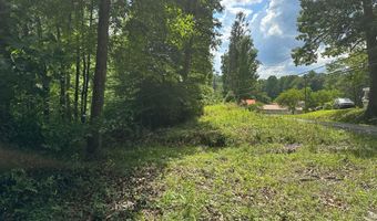 Lot 1 & 2 Rt. 1 Muddy Creek Mountain, Alderson, WV 24910