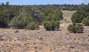 ACR N8388 and N8385, Concho, AZ 85924