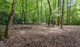 2 9 AC Chestnut Flats Rd, Andrews, NC 28901