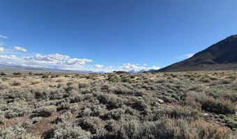 2953 Jacks Ct 71, Genoa, NV 89411