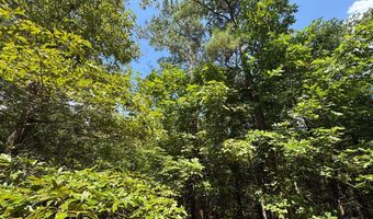 1324 Highway 81 N, Calhoun Falls, SC 29628