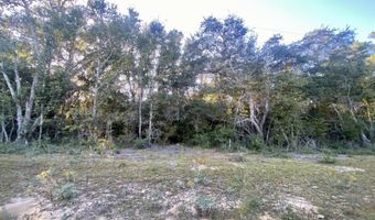 Coronado Avenue lot 2, Alford, FL 32420