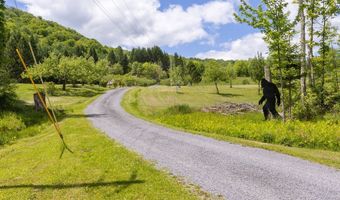 2607 Lower Dingle Hill Rd, Andes, NY 13731