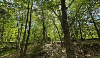 Peaked Hill Road, Bristol, NH 03222