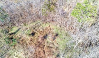 00 Rhondas Way, Bean Station, TN 37708