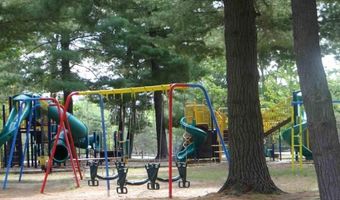 S Forest Lake, Alger, MI 48610