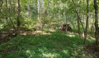 N Fork River Road, Abingdon, VA 24210