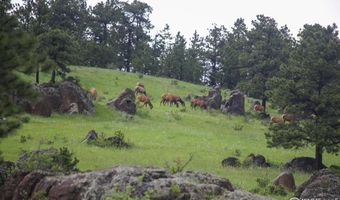 Old Flowers Rd, Bellvue, CO 80512