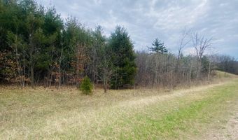 42 53A COUNTY ROAD Q, Amherst Junction, WI 54407