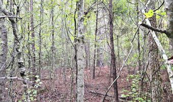 TBD Plowden Mill Road Tract D, Alcolu, SC 29001