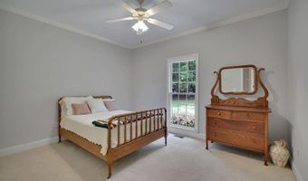 241 Wild Turkey Rdg, Ball Ground, GA 30107