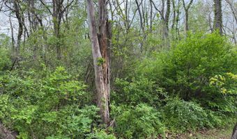 Alta Dr, Alderson, WV 24910