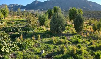 Bugling Bull Road, Cold Creek, NV 89124