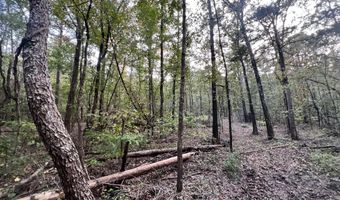 CR 225, Blue Springs, MS 38828