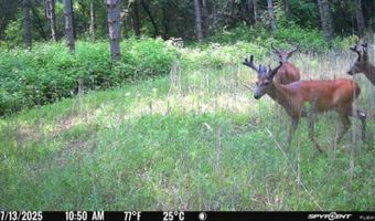 8752 HWY A, Almond, WI 54909