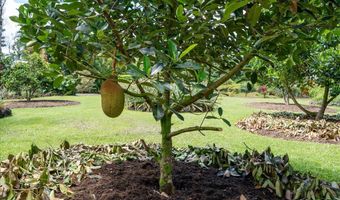 15-1829 26TH Ave, Keaau, HI 96749
