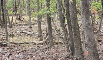 Clearbrook Dr 107, Albrightsville, PA 18210
