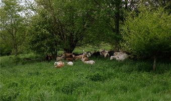 2400 Gladstone Hollow Rd, Andes, NY 13731
