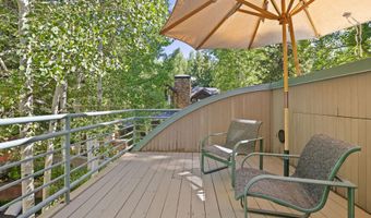 530 W Francis St, Aspen, CO 81611