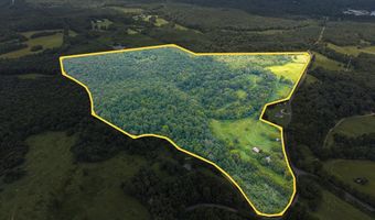 Holiday Lake Rd, Appomattox, VA 24522
