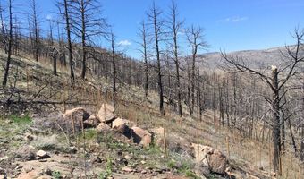3600 Moondance Way, Bellvue, CO 80512